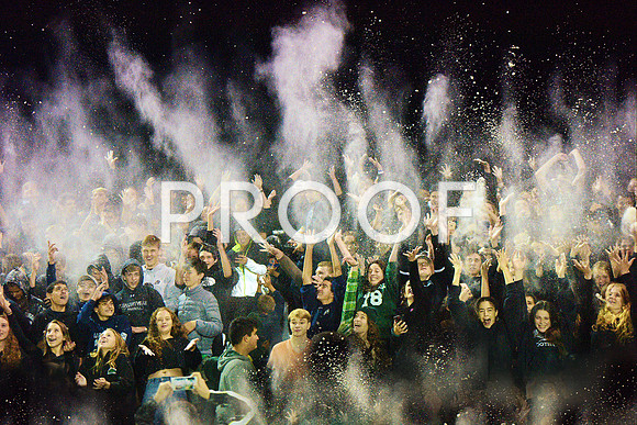 DSC_0291 copy