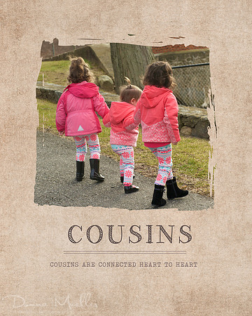 Cousins CollageStahn