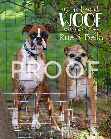 DSC_1723Rue& Bella copy (1)