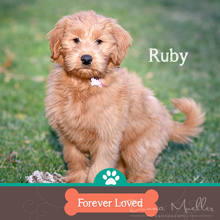Ruby