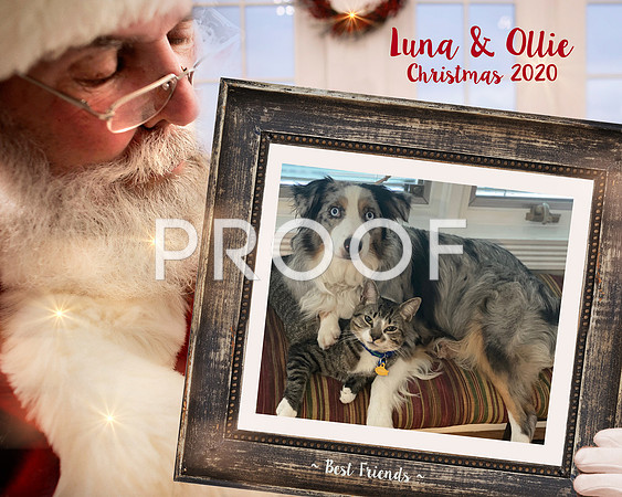 Santa Visit carrie Luna Ollie