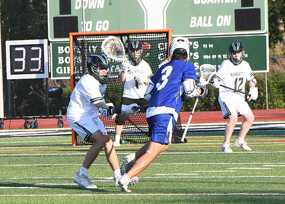 DSC_6454