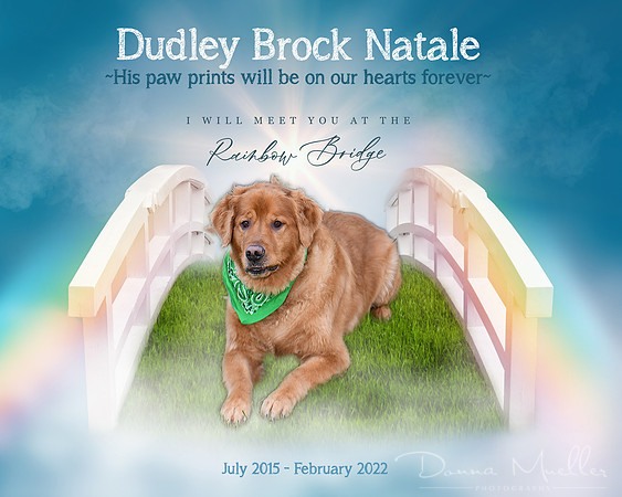 Dudley Rainbow Bridge final